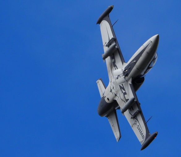 L-39 Albatross L-39 Albatross