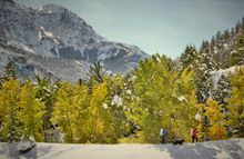 With rich fall color and abundant wildlife, fall is a great season for road tripping. 