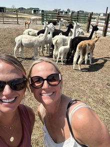Guided agricultural tours stop at farms and ranches that provide food to Cody restaurants.