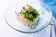 [RISONARE Shimonoseki] OTTO SETTE SHIMONOSEKI - Fugu Carpaccio