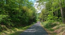 Peaceful walk along the Ecusta Trail just outside Hendersonville, NC