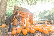 Cheekwood Harvest