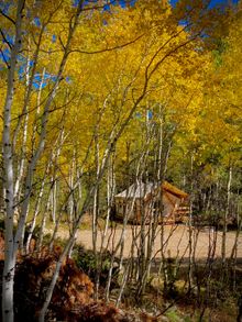 Fall color at Arapaho Valley Ranch.