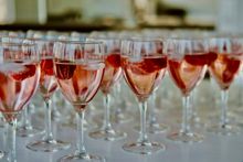 Masterclass Wine Tasting