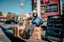 Rocky Mount, VA Scarecrow Trail - 