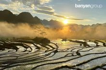 Garrya Mu Cang Chai, Vietnam