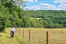 On Foot Holidays, The Southern Cotswolds - climbing Claverton Down