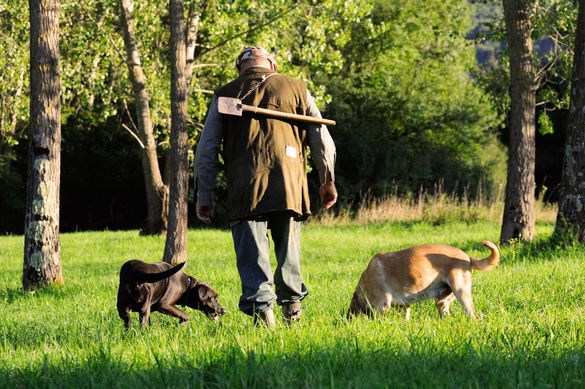 Truffle Hunting at Kempinski Hotel Adriatic Istria Truffle Hunting at Kempinski Hotel Adriatic Istria