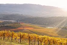 Sonoma Valley in Autumn