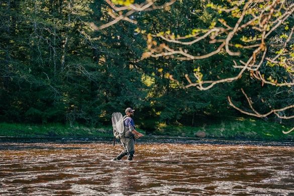 Guests have opportunities to fish along the shore adjacent to the Tongass National Forest. Guests have opportunities to fish along the shore adjacent to the Tongass National Forest.