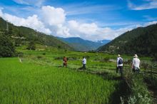 Beauty of Bhutan