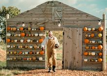 Mrs Dowsons Pumpkin Festival