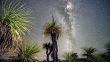 Adventure Quokka Tours_Australian Outback Animal Night Safari