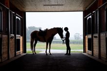 Salamander Middleburg Equestrian Program