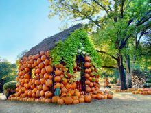 Cheekwood Harvest in Nashville