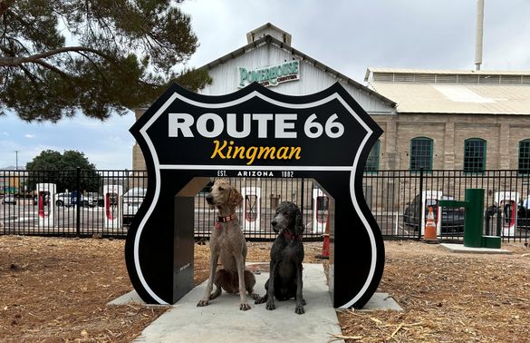 Route 66 Dog Park Newly Opened in Kingman