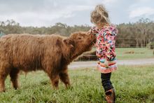 Qwacks Farm, Metricup.  Australia's South West