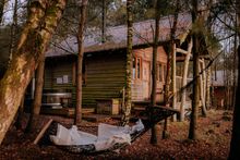 Tree House at Swinton Bivouac, near Masham