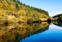Staindale Lake in Dalby Forest