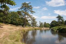 Bradgate Park