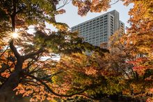 Hibiya Park Hibiya Park