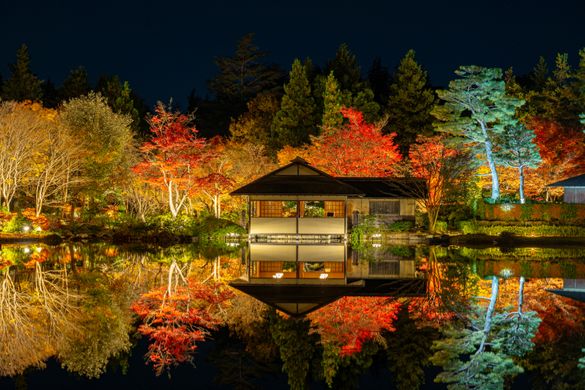 Showa Kinen Park - Japanese Garden Illumination (Photo taken in 2024) Showa Kinen Park - Japanese Garden Illumination (Photo taken in 2024)