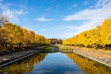 Showa Kinen Park  Showa Kinen Park