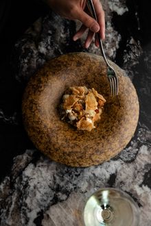 Whitsunday Cuttlefish