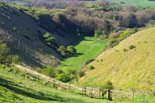 The Wye Downs Walk: Wye Downs