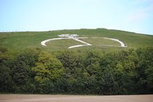 The Wye Downs Walk: North Downs Way - Wye Crown