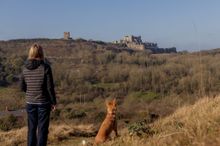 Dover to Deal: Three Castles Walk - Dover Castle