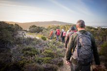 AlbanyTours Point Uredale hike