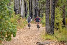 Dwellingup bike trails