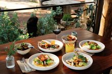 The Good Paddock, 11 Acre Farm. 