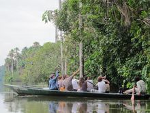 Excursions in the Amazon