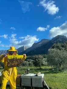 Bee keeping in Sardinia