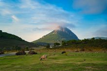 Sardinia countryside