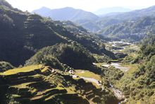 Rice terraces, Banaue, Philippines