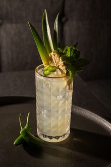 Cocktail Hops To The Beat im Tell Your Friends