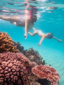 Keswick Island Snorkelling