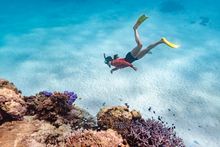 Snorkelling on Ningaloo Reef (credit Tourism Western Australia)