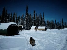 Northern Nomad, Yukon