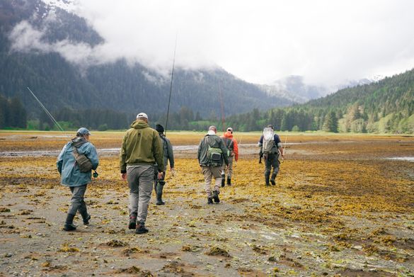 The Tongass National Forest is one of the last  substantially intact temperate rainforests on Earth.