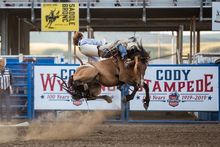 The Cody Nite Rodeo has been a multi-generational attraction for decades. 