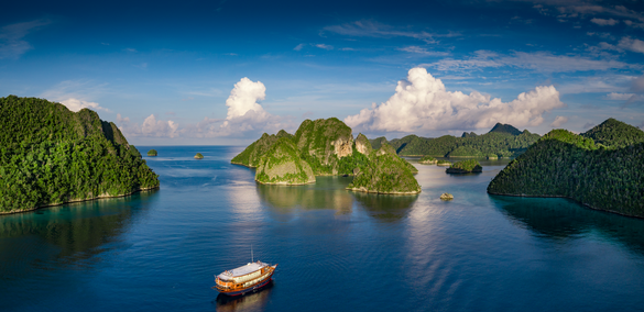 Rascal in Raja Ampat