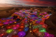 Sensorio Field of Light