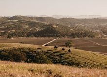 Paso Horseback Riding