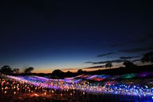 Field of Light at Sensorio