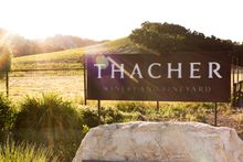 Thacher Winery