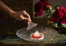 Bird's nest with ginger and Hetian jujube